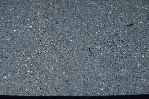 Cross Polarized, N5598