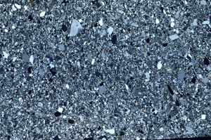 Cross Polarized, N5599