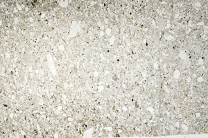 Plane Polarized, N5599