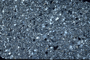 Cross Polarized, N5600