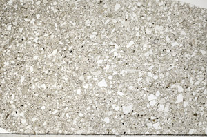 Plane Polarized, N5600