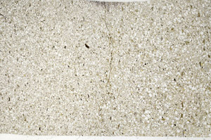 Plane Polarized, N5605