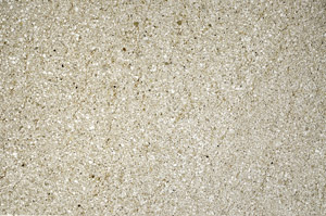 Plane Polarized, N5606