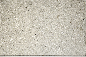 Plane Polarized, N5607