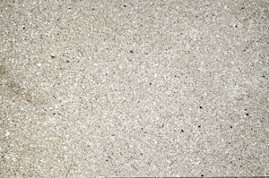 Plane Polarized, N5608