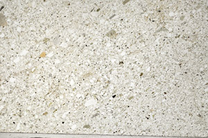 Plane Polarized, N5609