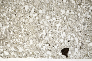 Plane Polarized, N5612