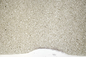 Plane Polarized, N5615