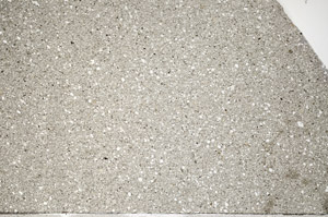 Plane Polarized, N5619