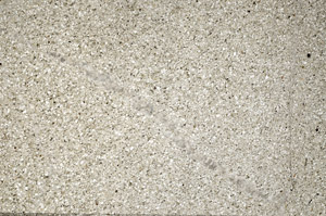 Plane Polarized, N5621