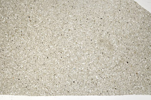 Plane Polarized, N5624