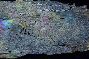 Cross Polarized, N5631