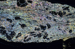 Cross Polarized, N5631/A