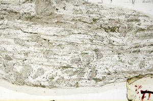 Plane Polarized, N5631/A