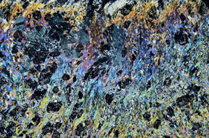 Cross Polarized, N5633