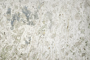Plane Polarized, N5633