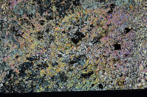 Cross Polarized, N5635