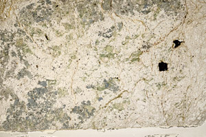 Plane Polarized, N5635