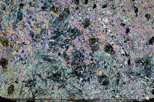 Cross Polarized, N5635/A