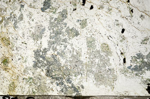 Plane Polarized, N5635/A