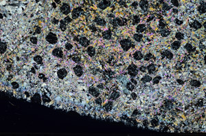 Cross Polarized, N5636