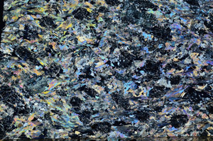 Cross Polarized, N5637