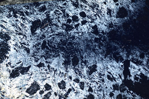 Cross Polarized, N5639