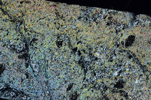 Cross Polarized, N5641