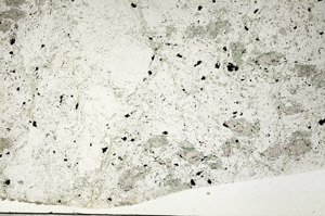 Plane Polarized, N5642