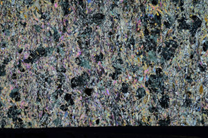 Cross Polarized, N5645