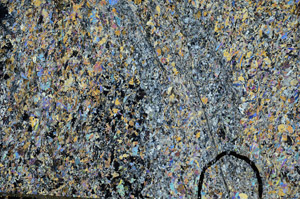 Cross Polarized, N5647