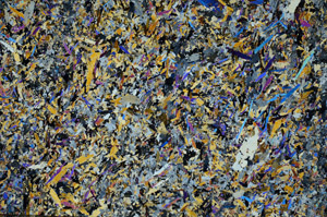 Cross Polarized, N5653