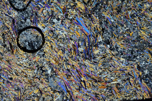 Cross Polarized, N5654