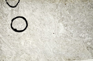 Plane Polarized, N5654