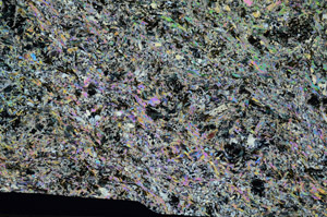 Cross Polarized, N5655