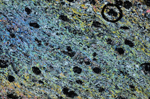 Cross Polarized, N5661
