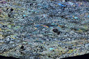 Cross Polarized, N5662