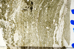 Plane Polarized, N5664