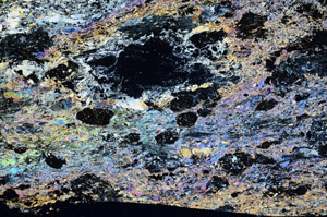 Cross Polarized, N5665