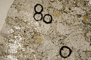 Plane Polarized, N5669