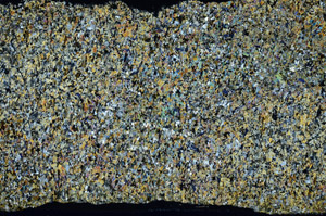 Cross Polarized, N5669/A