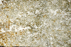 Plane Polarized, N5672