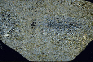 Cross Polarized, N5677