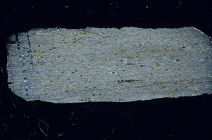 Cross Polarized, N5693