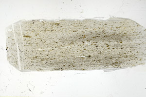 Plane Polarized, N5693