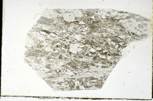 Plane Polarized, N5694