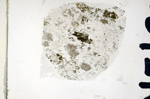 Plane Polarized, N5697