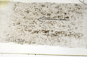 Plane Polarized, N5698/A