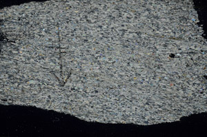 Cross Polarized, N5698/B