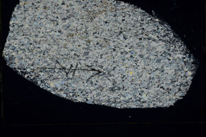 Cross Polarized, N5698/C